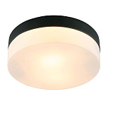 Светильник потолочный Arte Lamp A6047PL-2BK