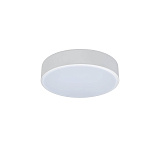 Светильник потолочный светодиодный Loft IT 10002/12 White