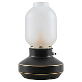 Настольная лампа декоративная Lussole LSP-0568