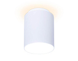 Светильник потолочный светодиодный Ambrella light TN260