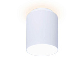 Светильник потолочный светодиодный Ambrella light TN261