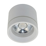 Светильник потолочный светодиодный Aployt APL.0043.09.05