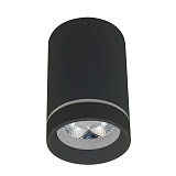 Светильник потолочный светодиодный Aployt APL.0053.19.10