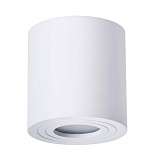 Светильник потолочный Arte Lamp A1460PL-1WH