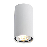 Светильник потолочный Arte Lamp A1516PL-1WH