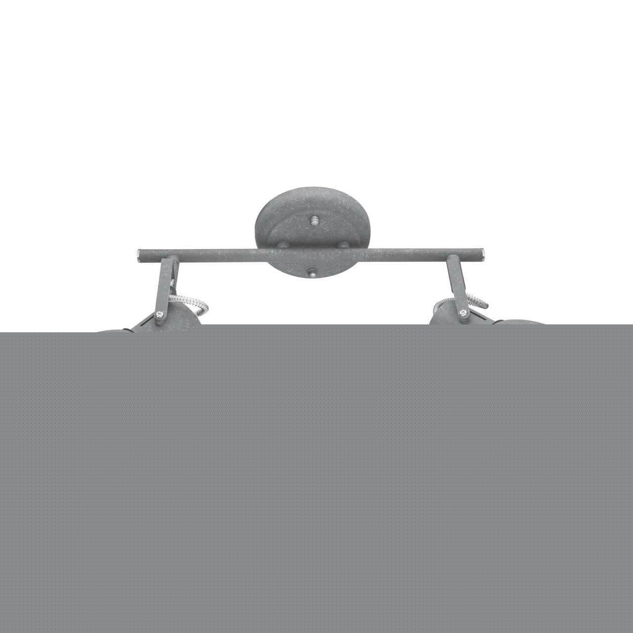 Спот Arte Lamp A1677PL-2GY