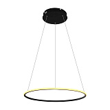 Светильник подвесной светодиодный Arte Lamp A2500SP-1BK