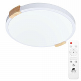 Светильник накладный светодиодный Arte Lamp A2684PL-72WH