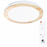 Светильник накладный светодиодный Arte Lamp A2685PL-72WH