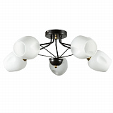 Люстра потолочная Arte Lamp A2706PL-5CK