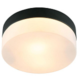 Светильник потолочный Arte Lamp A6047PL-1BK