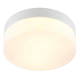 Светильник потолочный Arte Lamp A6047PL-1WH