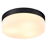 Светильник потолочный Arte Lamp A6047PL-3BK