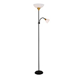 Торшер для чтения Arte Lamp A9569PN-2BK