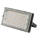 Уличный светильник ЭРА Fito-80W-RB-Led-Y