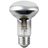 Лампа накаливания ЭРА ЛОН R63-40W-230-E27