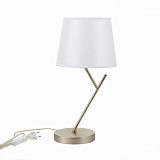 Настольная лампа декоративная Evoluce SLE300104-01