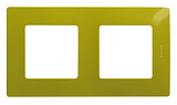 Рамка 2-постовая Legrand Etika зелёный папоротник 672542
