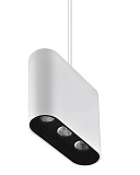 Светильник подвесной светодиодный Lumien Hall 8004/3P-WT-BK