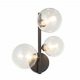 Светильник настенный Lumien Hall LH4125/3W-BK-CL