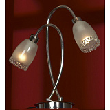Настольная лампа декоративная Lussole LSL-3204-02