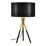 Настольная лампа декоративная Lussole LSP-0615