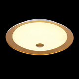 Светильник потолочный светодиодный Maytoni CL815-PT35-G