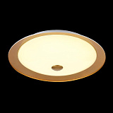 Светильник потолочный светодиодный Maytoni CL815-PT42-G