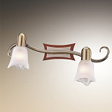 Спот  Odeon Light 1968/2W