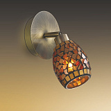 Спот  Odeon Light 2167/1W