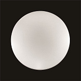 Светильник  настенно-потолочный светодиодный Sonex 2052/CL