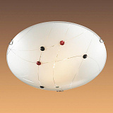 Светильник настенно-потолочный Sonex 206