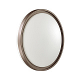 Светильник настенно-потолочный светодиодный Sonex 3044/CL