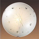 Светильник  настенно-потолочный с пультом д/у светодиодный Sonex 305/EL