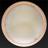 Светильник  настенно-потолочный светодиодный Toplight TL9620Y-00PN