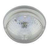 Уличный светильник потолчный Uniel ULW-R05 12W/NW IP64 White