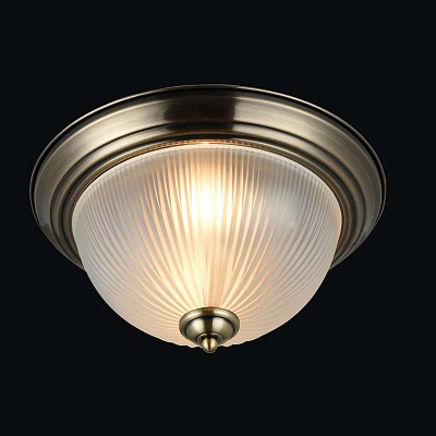 Светильник потолочный Maytoni CL913-02-R