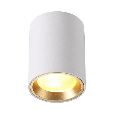 Уличный светильник потолчный Odeon Light 4206/1C