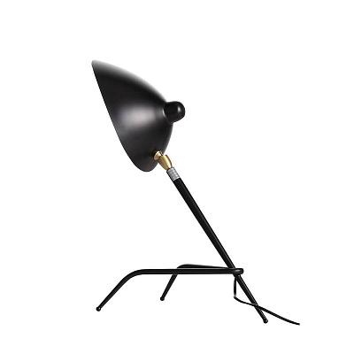 Настольная лампа декоративная ST Luce SL305.404.01