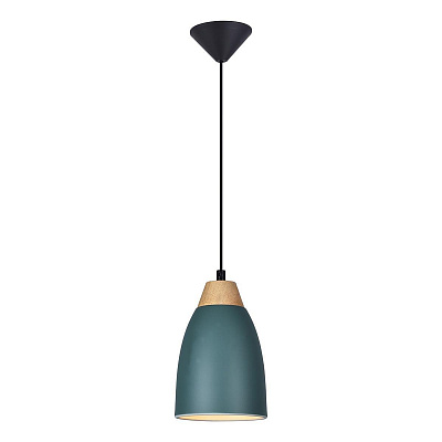 Светильник подвесной Toplight TL0724H-2G
